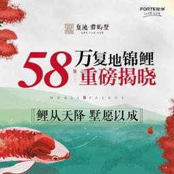 重庆今日头条致富经,揭秘本地创业商机与成功案例